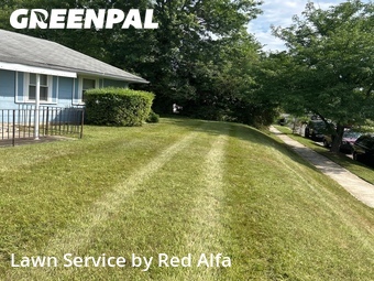 Yard Mowing nearby Oxon Hill, MD, 