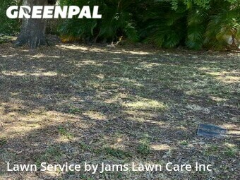 Yard Mowing nearby Tampa, FL, 