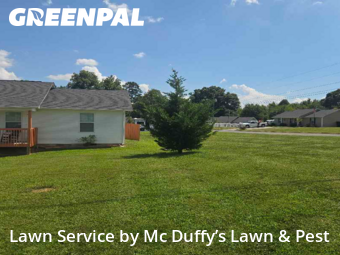 Lawn Mowing Service nearby Baneberry, TN, 