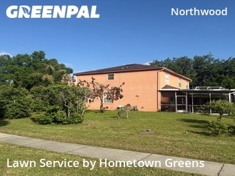 Grass Cut nearby Wesley Chapel, FL, 