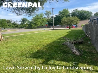 Grass Cut nearby Joliet, IL, 
