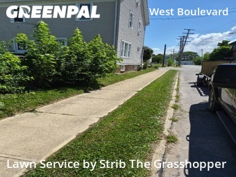 Landscaping Maintenance In Cleveland,44102,Landscaping Cleanup by Strib The Grasshopper, work completed in Jul , 2026