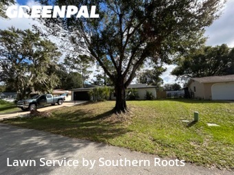 Lawn Care nearby Palm Coast, FL, 