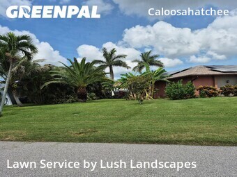 Grass Cutting nearby Cape Coral, FL, 