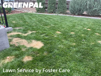 Lawn Mow nearby Broomfield, CO, 