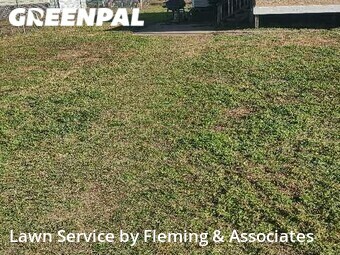 Lawn Cut nearby Jacksonville, FL, 