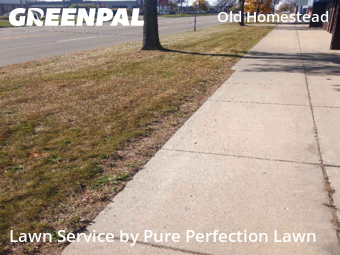 Lawn Services in Southgate, 48195, Turf Services by Pure Perfection Lawn, work completed in Nov , 2025