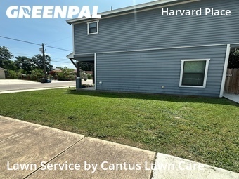 Grass Cut nearby San Antonio, TX, 