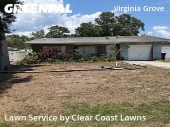 Lawn Maintenancein Clearwater,33759,Lawn Cutting by Clear Coast Lawns, work completed in Jun , 2026