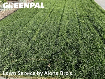 Lawn mowed in Star, 83669