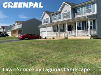 Lawn Care Service nearby Falmouth, VA, 
