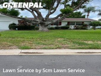 Lawn Cut nearby Dunedin, FL, 