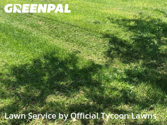 Lawn Cut nearby Palm Coast, FL, 
