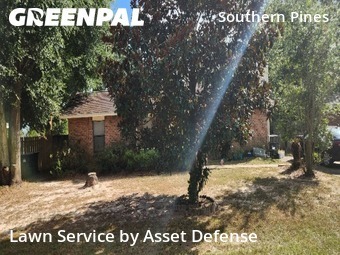 Grass Cutting in Bellview, 32526, Yard Upkeep by Asset Defense, work completed in Nov , 2025