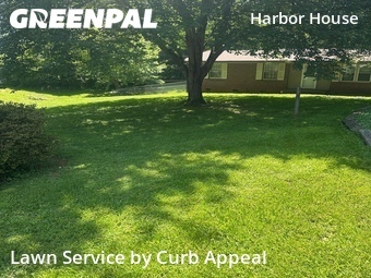 Lawn Carein Charlotte,28214,Grass Cut by Curb Appeal, work completed in Jun , 2026