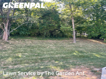 Lawn Mowing Service nearby Ballwin, MO, 