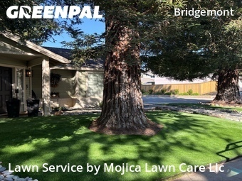 Yard Cutting nearby Citrus Heights, CA, 