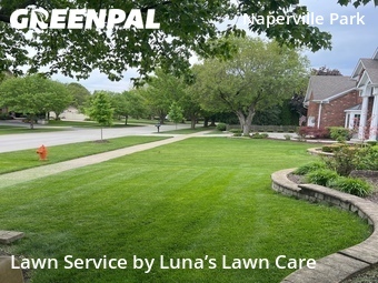 Grass Cutin Naperville,60564,Lawn Cut by Luna’s Lawn Care , work completed in Jun , 2026