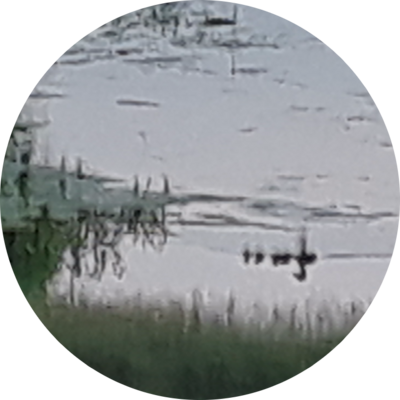 Local Lawn care service near me in Two Rivers, WI, 54241