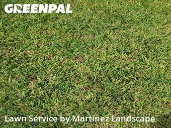 Lawn Mowing Servicein Ocoee,34761,Yard Mowing by Martinez Landscape, work completed in Nov , 2025