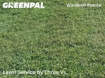 Lawn Maintenance nearby Palm Harbor, FL, 