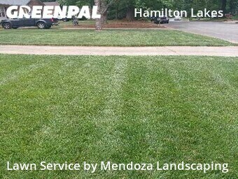 Lawn Cut nearby Greensboro, NC, 