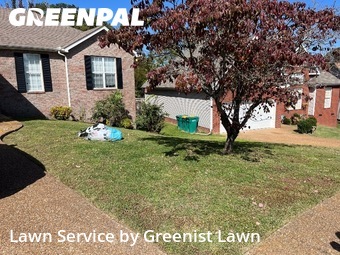 Yard Upkeep in Spring Hill, 37174, Yard Services by Greenist Lawn, work completed in Oct , 2025