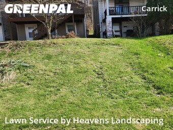 Lawn mowed in Homestead, 15120