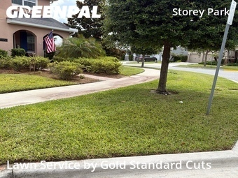 Grass Cut nearby Orlando, FL, 