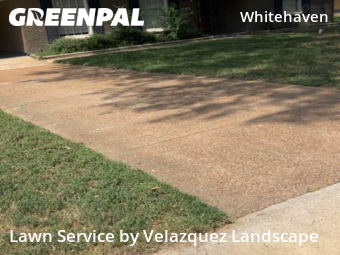 Lawn Cut nearby Memphis, TN, 