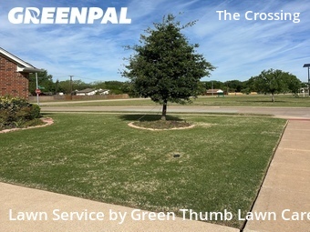 Lawn Mow nearby Fort Worth, TX, 