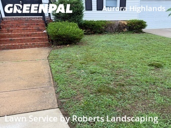 Lawn Care Service nearby Arlington, VA, 