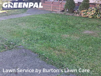 Lawn Cutting nearby Struthers, PA, 