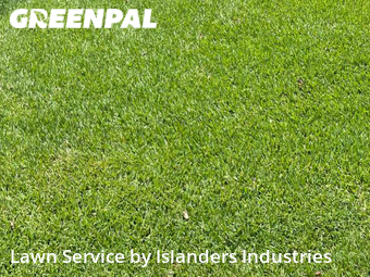 Grass Cut nearby Baton Rouge, LA, 