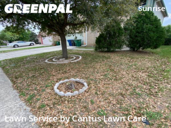 Lawn Service nearby San Antonio, TX, 