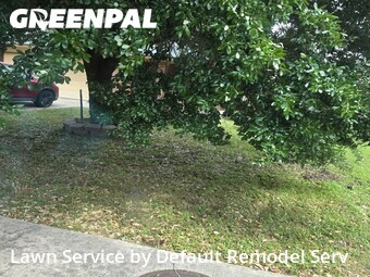 Grass Cut nearby Hutto, TX, 