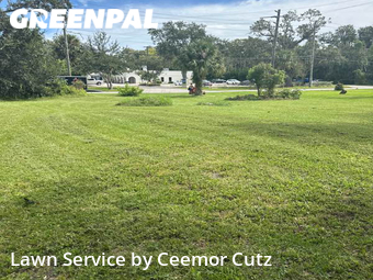 Lawn Cut nearby Daytona Beach, FL, 
