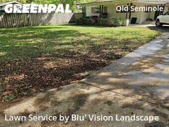 Lawn Cutting nearby Tampa, FL, 