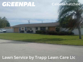 Lawn Work in Cape Coral, 33904, Lawn Maintenance by Trapp Lawn Care Llc , work completed in Nov , 2025