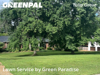 Yard Cutting nearby Nashville, TN, 