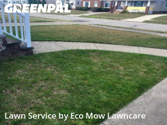 Grass Cut nearby Parma, OH, 