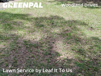 Lawn Maintenance nearby Tallahassee, FL, 