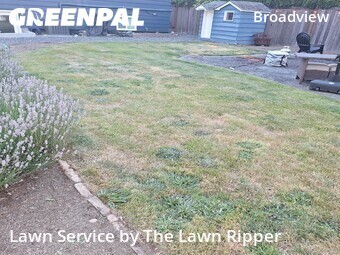 Lawn Mow nearby Seattle, WA, 