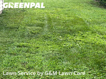 Lawn Care nearby Virginia Beach, VA, 