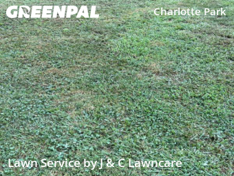 Lawn Care nearby Nashville, TN, 