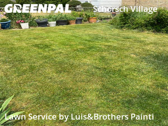 Lawn Care nearby Chicago, IL, 