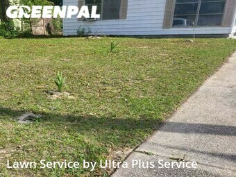 Lawn Service nearby Pensacola, FL, 