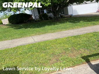 Lawn Mowing Service nearby Lexington, KY, 