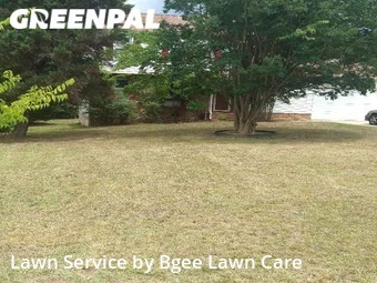 Grass Cut nearby Charlotte, NC, 