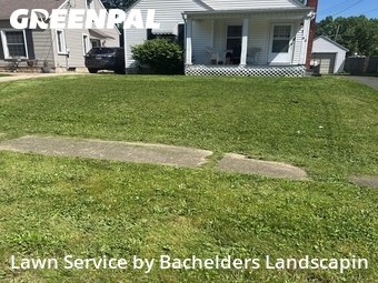 Lawn Maintenance nearby Mansfield, OH, 